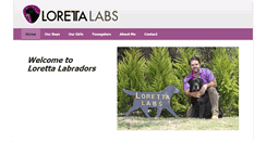 Desktop Screenshot of lorettalabs.com