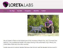 Tablet Screenshot of lorettalabs.com